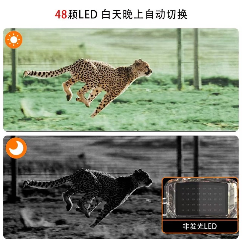大特価セール DL001 ハンティングカメラ 動物追跡 ハン - Outdoor Hunting Images のレビューと価格