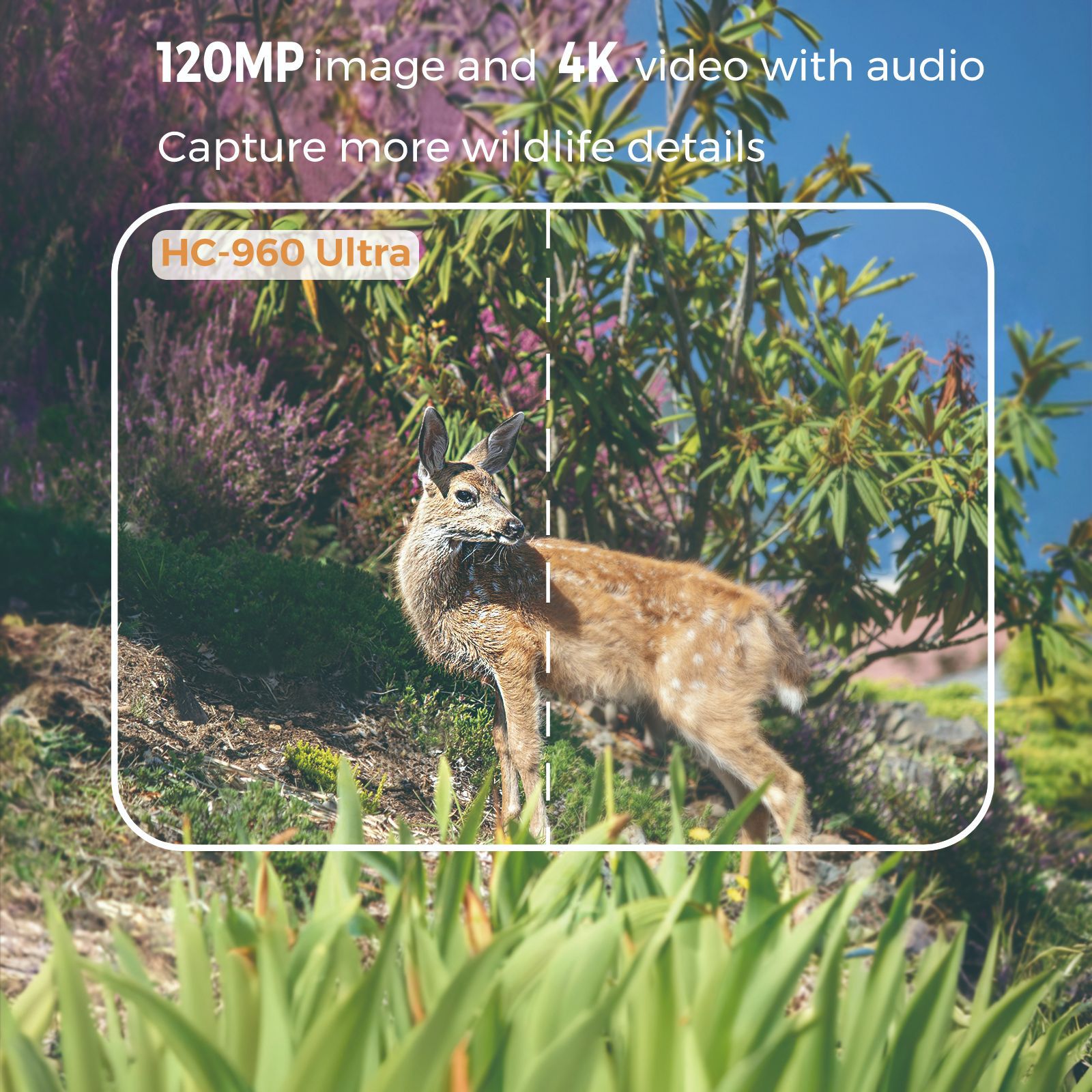 4G対応 屋外用野生動物赤外線カメラ 2.4インチ 8000 - Hunting Outdoor Camera のレビューと価格
